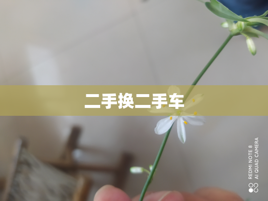 二手换二手车