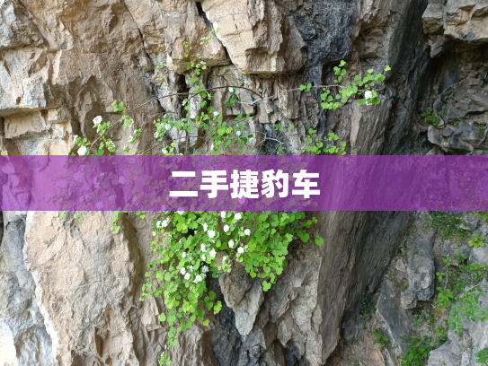 二手捷豹车