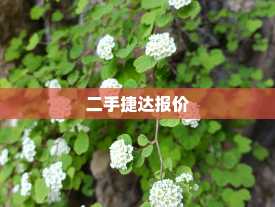 二手捷达报价