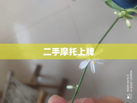 二手摩托上牌