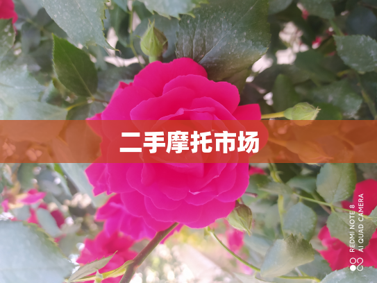 二手摩托市场