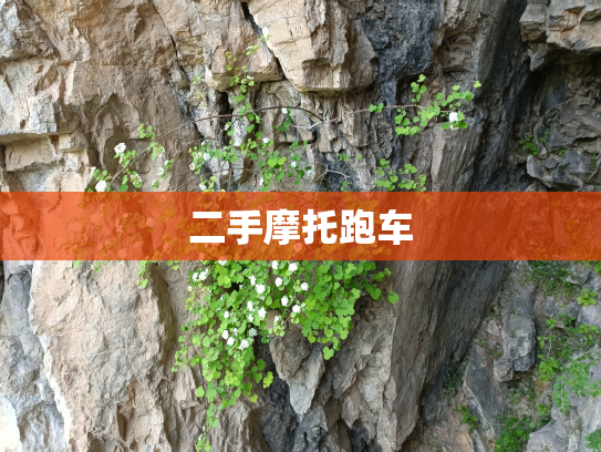 二手摩托跑车