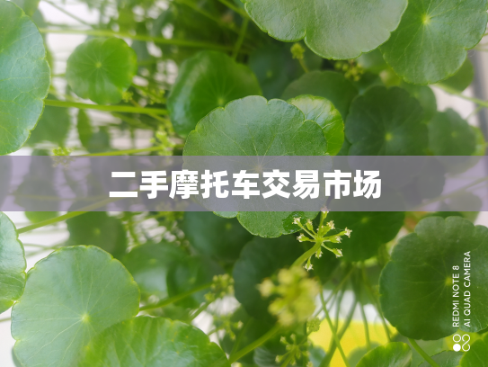 二手摩托车交易市场