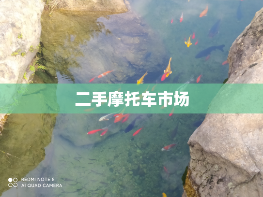 二手摩托车市场