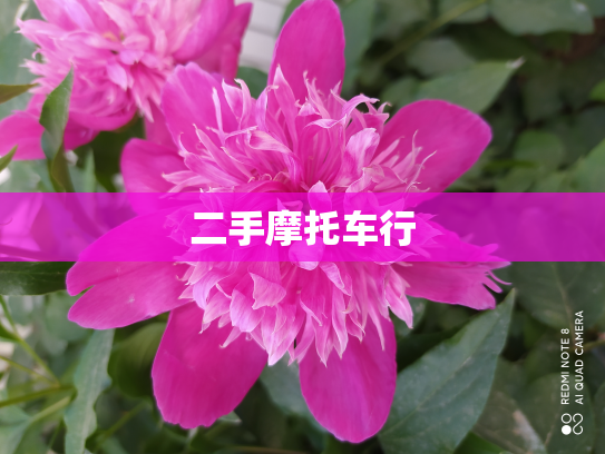 二手摩托车行