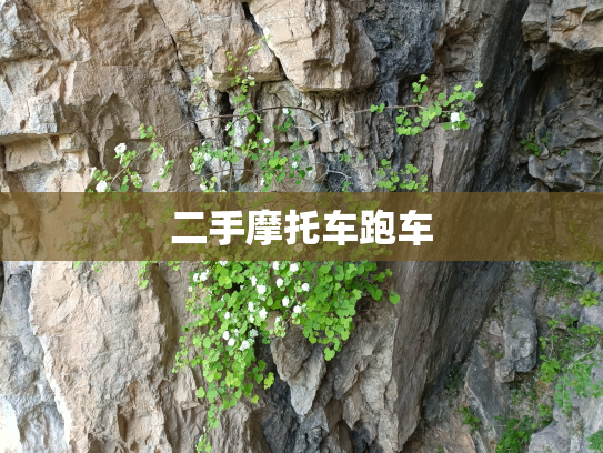 二手摩托车跑车