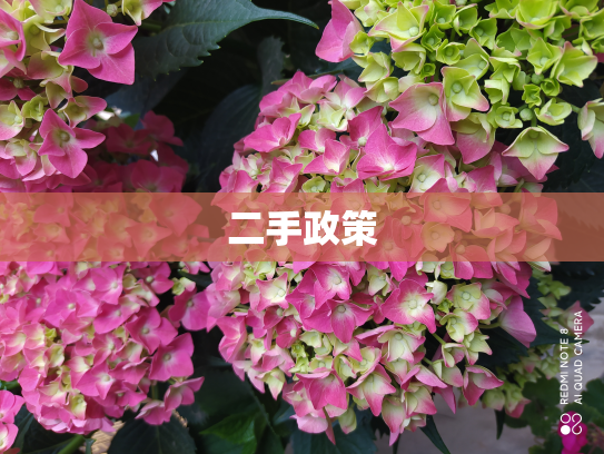 二手政策