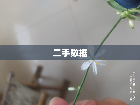 二手数据