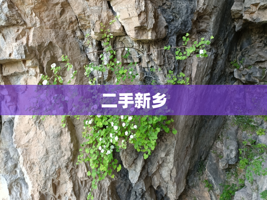 二手新乡