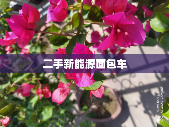 二手新能源面包车