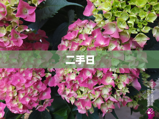 二手日