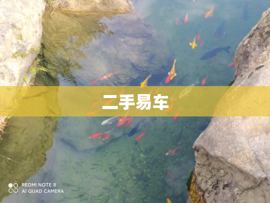 二手易车