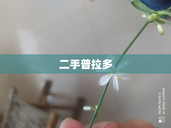 二手普拉多