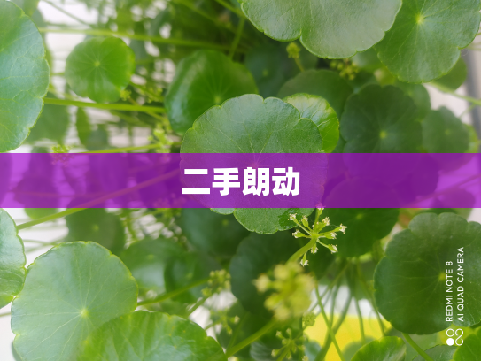 二手朗动