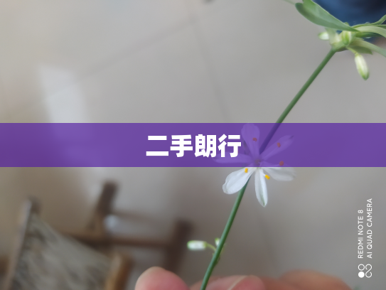 二手朗行
