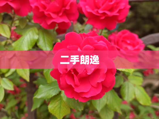 二手朗逸