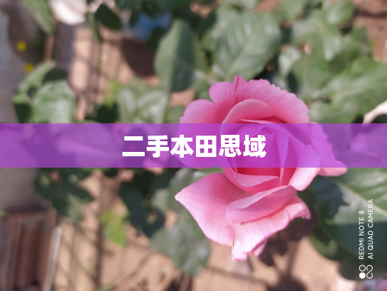二手本田思域
