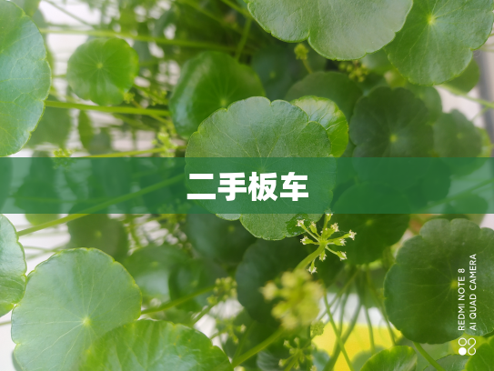 二手板车