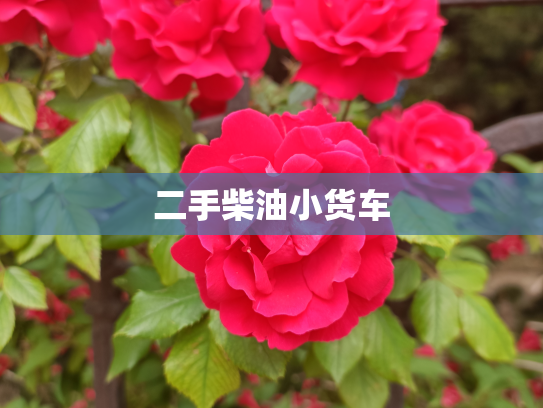 二手柴油小货车
