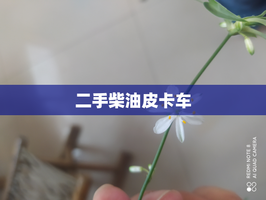 二手柴油皮卡车
