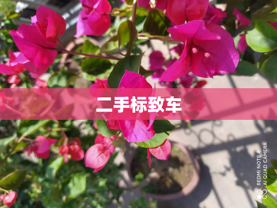 二手标致车