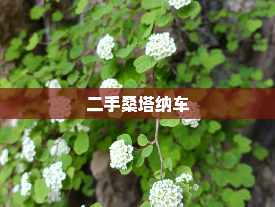 二手桑塔纳车