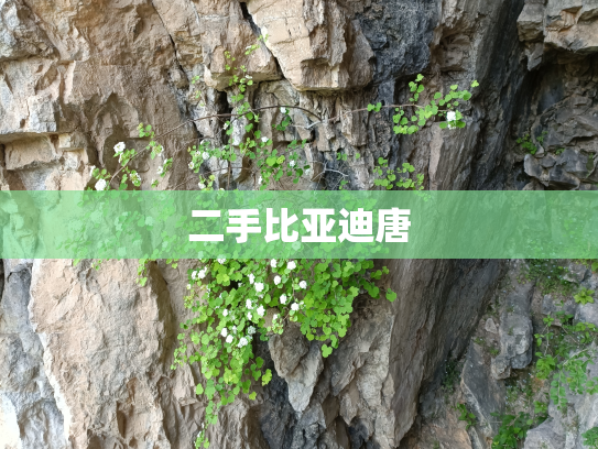 二手比亚迪唐