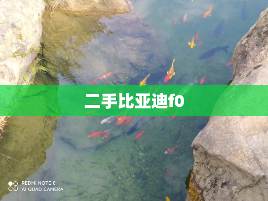 二手比亚迪f0