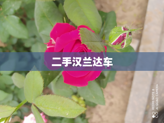 二手汉兰达车