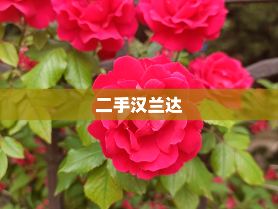 二手汉兰达