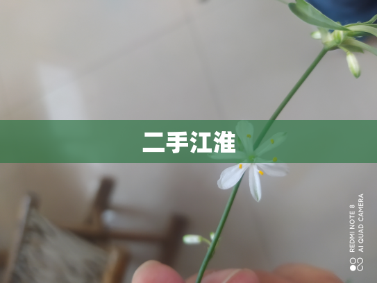 二手江淮