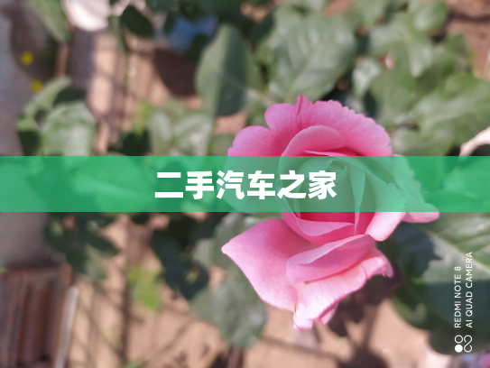 二手汽车之家
