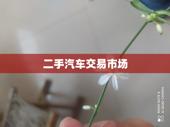 二手汽车交易市场