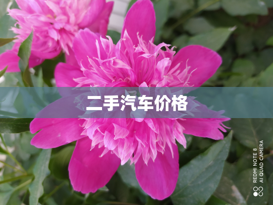 二手汽车价格