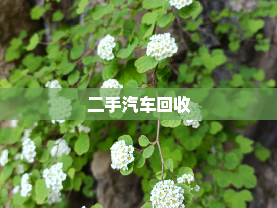 二手汽车回收