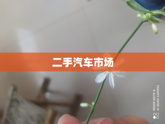 二手汽车市场