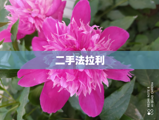 二手法拉利