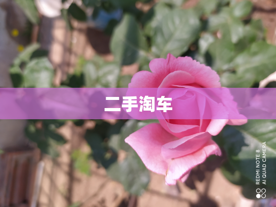 二手淘车