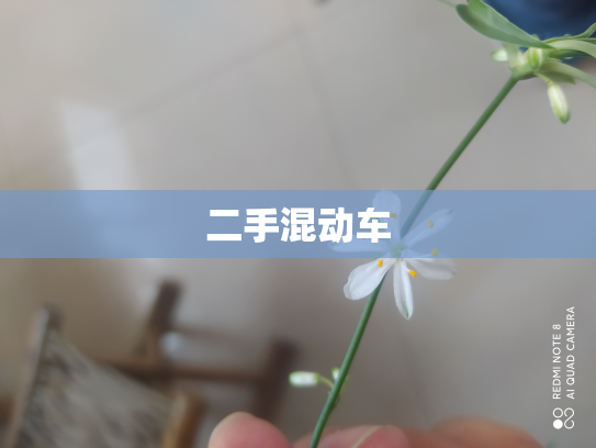 二手混动车
