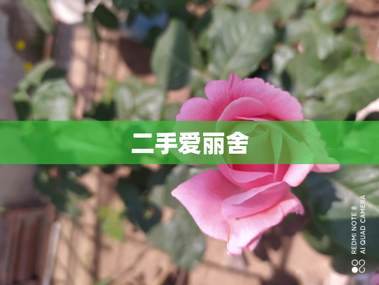 二手爱丽舍