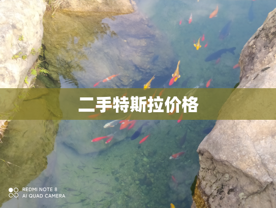 二手特斯拉价格