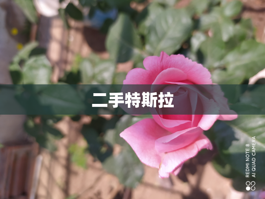 二手特斯拉