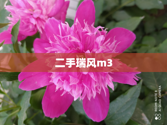 二手瑞风m3