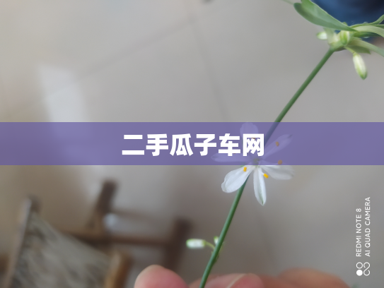 二手瓜子车网