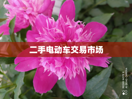 二手电动车交易市场