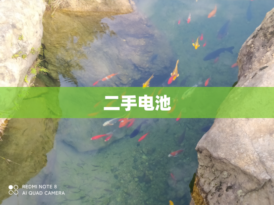 二手电池
