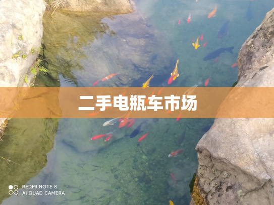 二手电瓶车市场