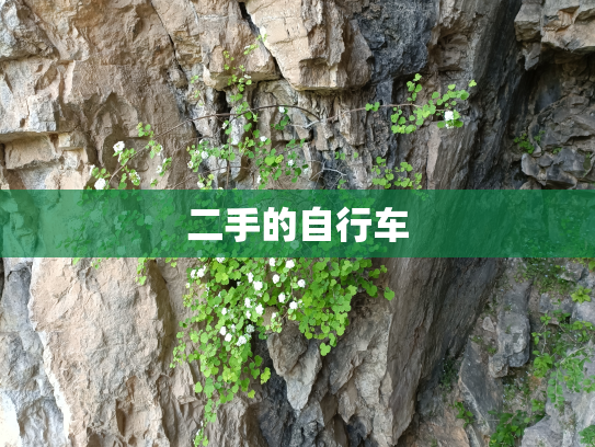 二手的自行车