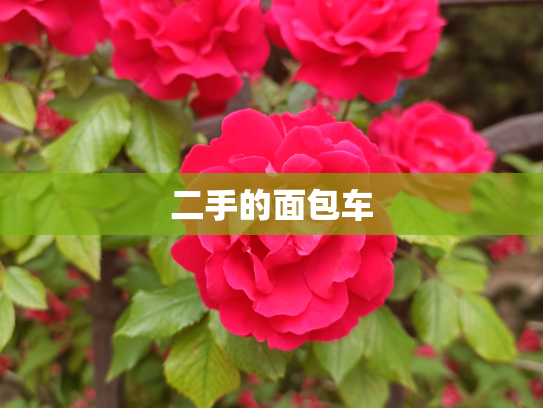 二手的面包车