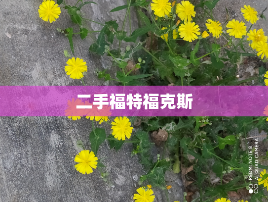 二手福特福克斯